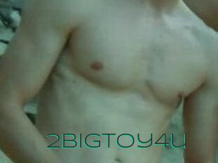 2bigtoy4u