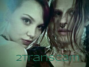 2_trans_cam