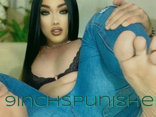 9inchspunisher Sex Agent