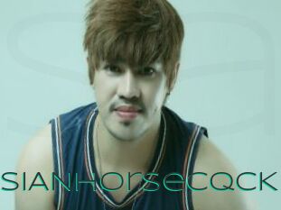 ASIANhorseCQCK