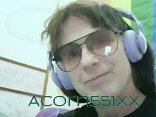 Acorn551XX