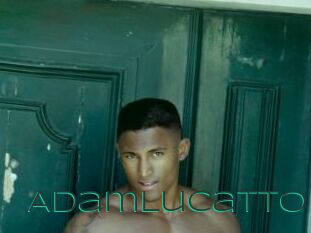 AdamLucatto