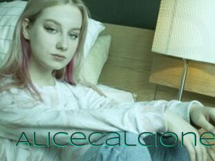 AliceCalcione