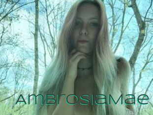 AmbrosiaMae