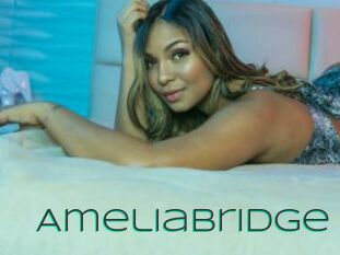AmeliaBridge