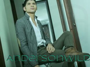 AndersonWild