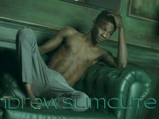 AndrewSlimCute