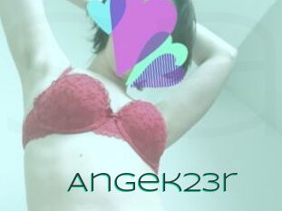 Angek23r