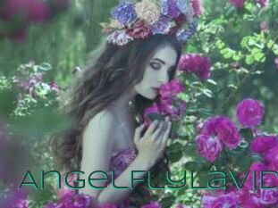 AngelFlyLaVid