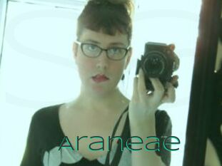 Araneae