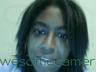 AwesomeGamer