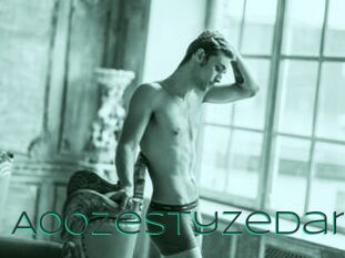 A00ZestyZedan