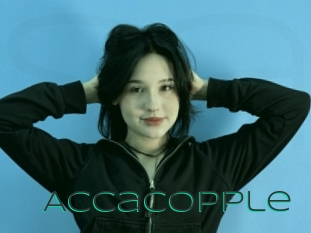 Accacopple