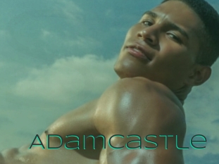 adamcastle Sex Agent
