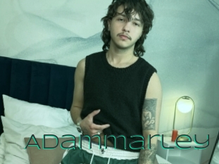 adammarley Sex Agent