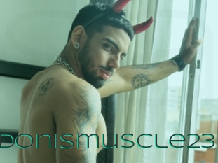 Adonismuscle23