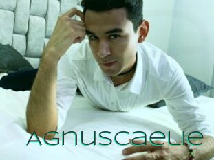 Agnuscaelie