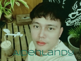 aidenlandy Sex Agent