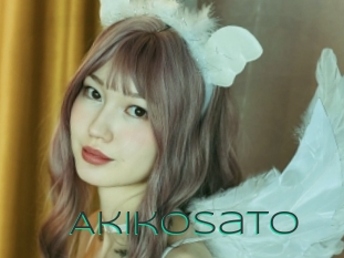 akikosato Sex Agent