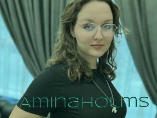 Aminaholms