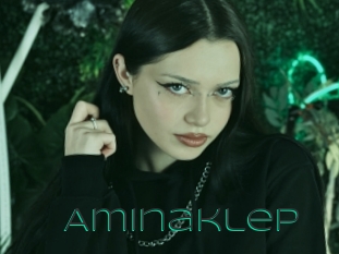 Aminaklep