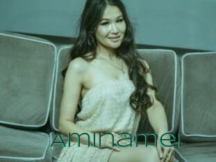 Aminamei