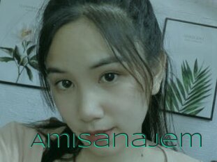 Amisanajem