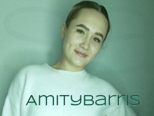 Amitybarris