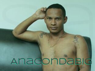 Anacondabig