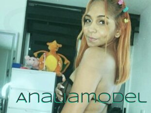 Analiamodel