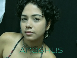 Anashus