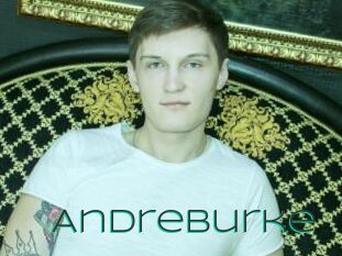 Andreburke
