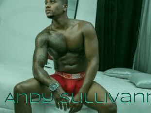 Andy_sullivann