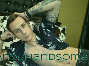 Andyhandsome