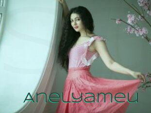 Anelyameu