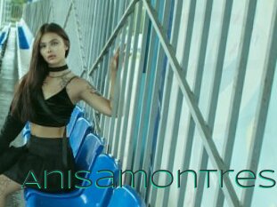Anisamontres