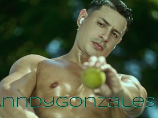 Anndygonzales