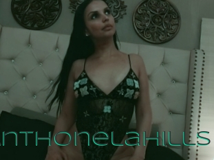 Anthonelahills