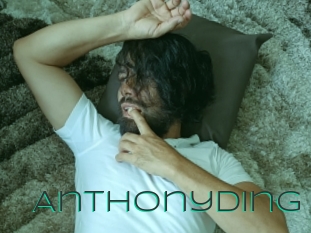 anthonyding Sex Agent