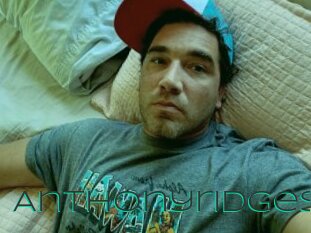 Anthonyridges