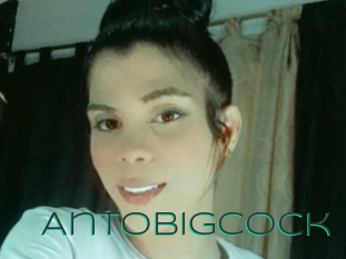 Antobigcock