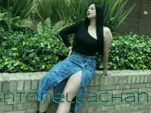 Antonellachan