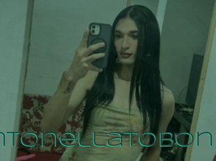 Antonellatobon