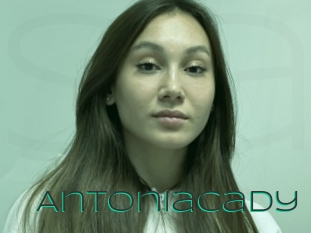 Antoniacady