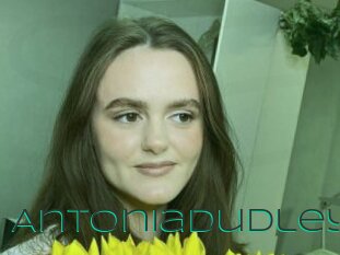 Antoniadudley