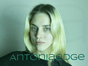 Antoniaedge