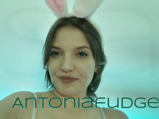 Antoniafudge