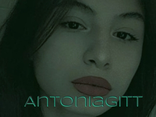 Antoniagitt