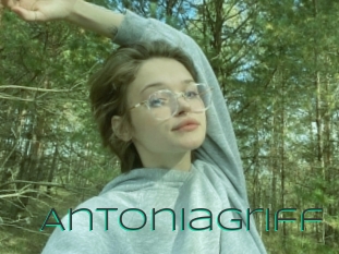 Antoniagriff