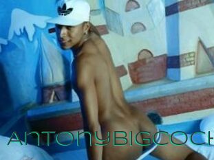 Antonybigcock